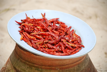 Piments rouges séchant sur la plage