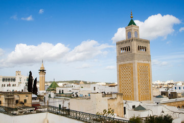 Great View Over the Historic Town of Tunis - obrazy, fototapety, plakaty