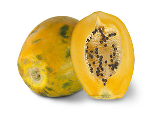 papaya