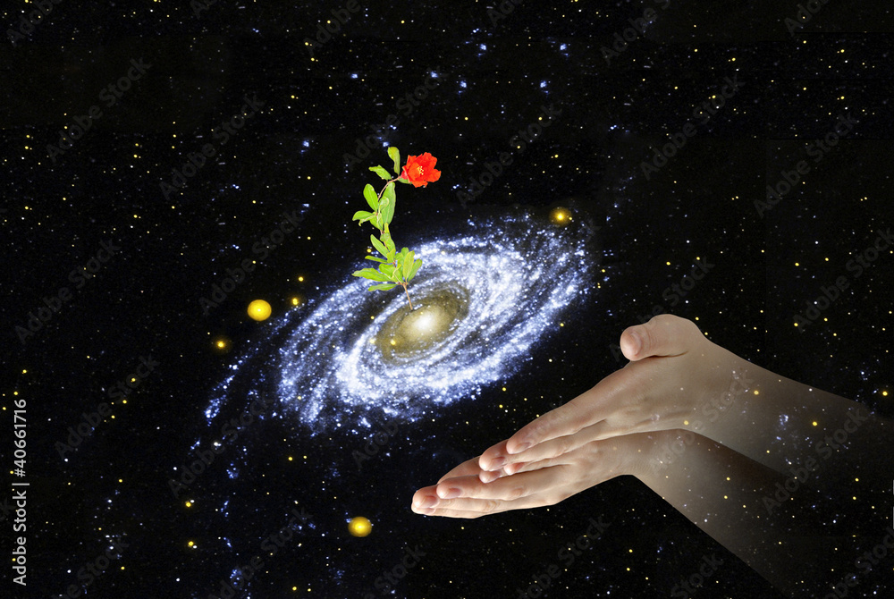 Wall mural flower at center of galaxy.elements of this image furnished by