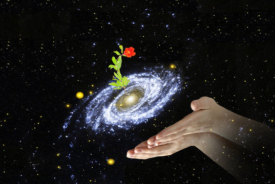 flower at center of galaxy.Elements of this image furnished by