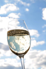 Sektglas