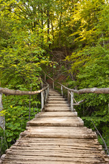 National park Plitvice in Croatia