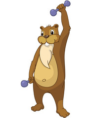 Obraz premium Beaver CREES. Look for Funny Beaver by Keyword 