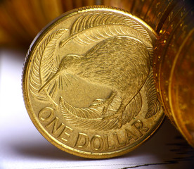 Extremely close up view of New Zealand dollar currency