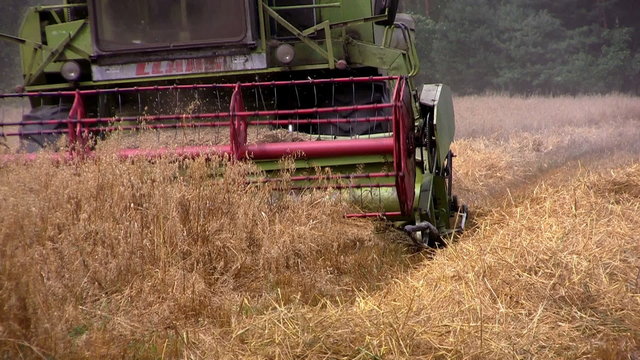 Combine harvesting, Poland