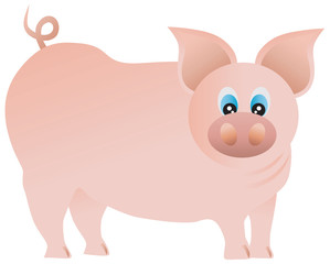 Cute Pig Illustration