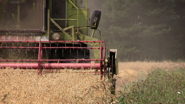 Combine harvesting at cornfield, Europe