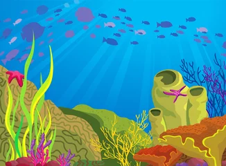 Ingelijste posters Gekleurd koraalrif en school vissen © Natali Snailcat
