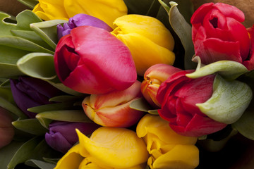 Bouquet of tulips