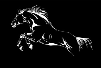 horse jumping on black vector