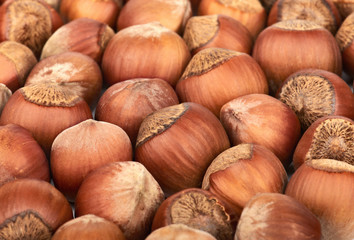 Hazelnuts