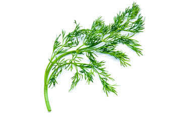 dill