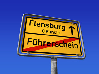 Führerschein weg bei 8 Punken ( Reform 2013)