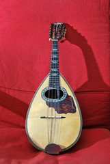 mandolino