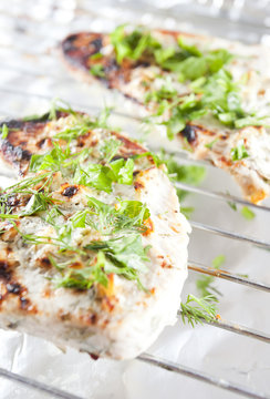 Grilled chicken breast with fresh herbs plus yoghurt souce