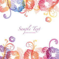 morning glory background