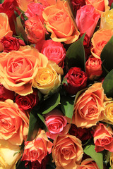 Mixed roses in yellow, red and orange