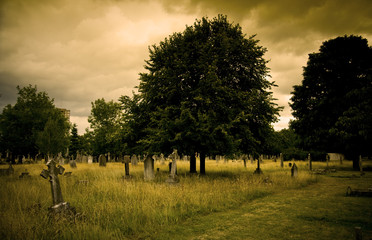 Old cemetery angel sculpture made of stone