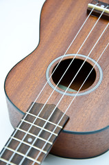 Obraz premium ukulele Hawaii guitar style