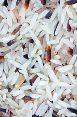 Jasmine rice closeup