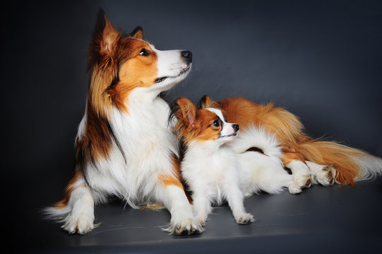 big and small