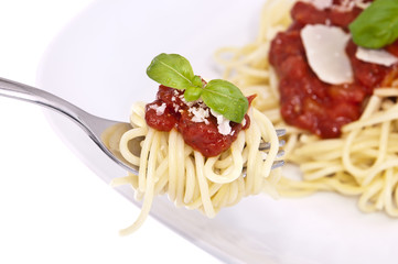 Spaghetti with tomato sauce on a fork