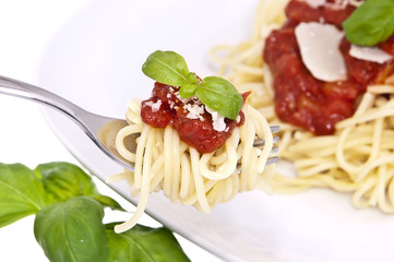 Spaghetti with tomato sauce on a fork