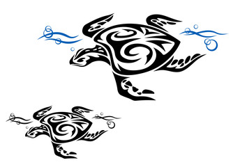 Turtle in ocean water