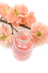 flowering quince and bottle of massage oil on white background