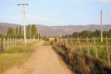 Paisaje de campo