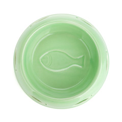 Empty cat food bowl
