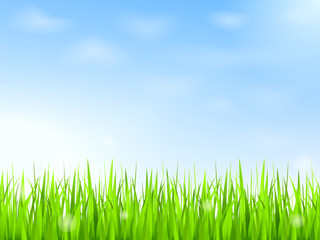 Green grass and blue sky with clouds
