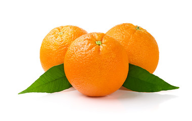 Oranges on White Background