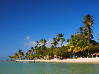 Sandstrand mit Palmen