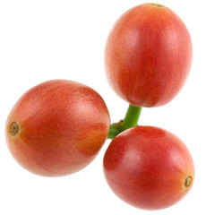 cerises mûres de café