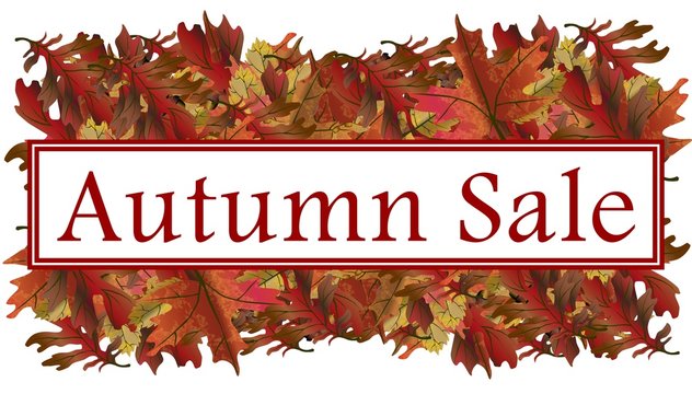 Autumn Sale