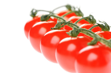 Closeup of tomatoes