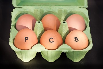 PCB-Eier
