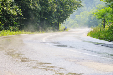country side road in green forest