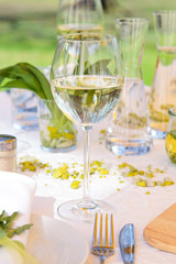 Weißwein zum Picknick