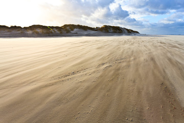 Fototapeta na wymiar Sand blowing over the beach