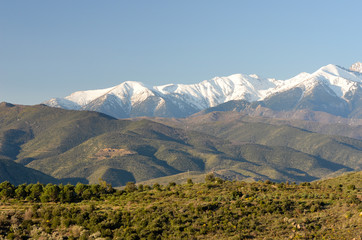 Le Canigou dans les Pyrénées Orientales