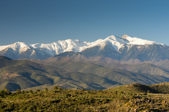 Le Canigou dans les Pyr&eacute;n&eacute;es Orientales