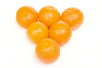 Oranges  family