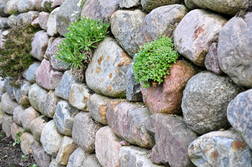 Steinmauer