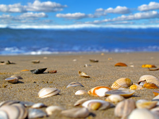 Sunny beach background with defocused wave and blue sky.