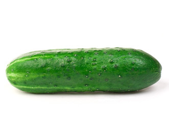Cucumber