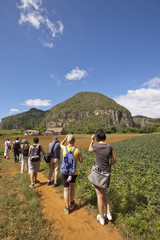 The tourists in Vinales Valley, Cuba