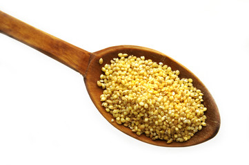 Miglio Panicum miliaceum